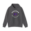 Goodrow 21 New York Hockey Number Arch Design Unisex Hooded Sweatshirt